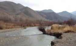 n00164211-b